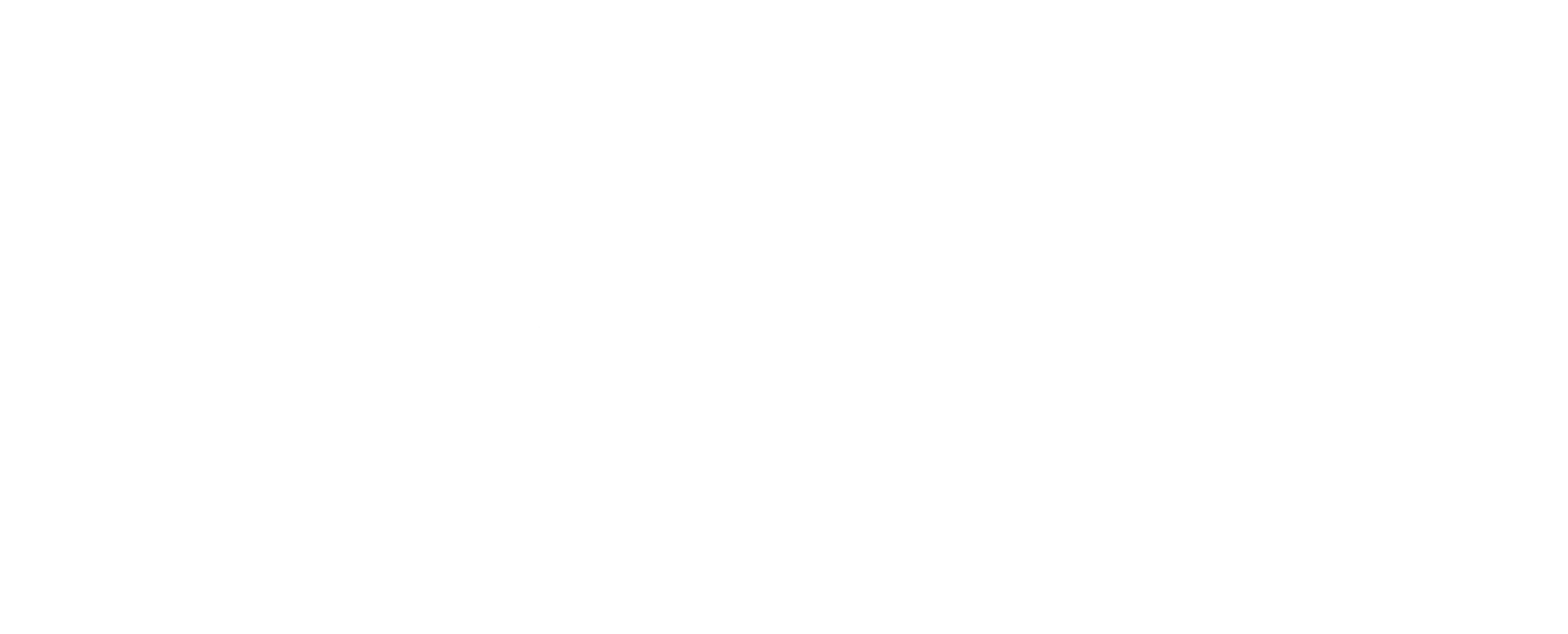Bijeli Logo Tupik
